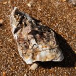 L'Heure Dorée | Étoile Filante armband