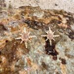 L'Heure Dorée | Étonnant oorbellen