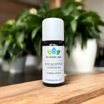Eucalyptus Citriodora | Olie