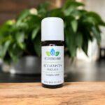 Eucalyptus Radiata | Olie