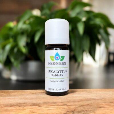 Eucalyptus Radiata | Olie