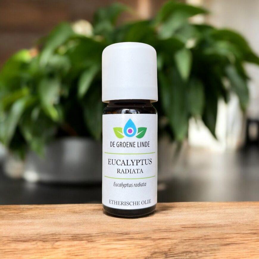 Eucalyptus Radiata | Olie