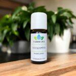 Eucalyptus | Olie
