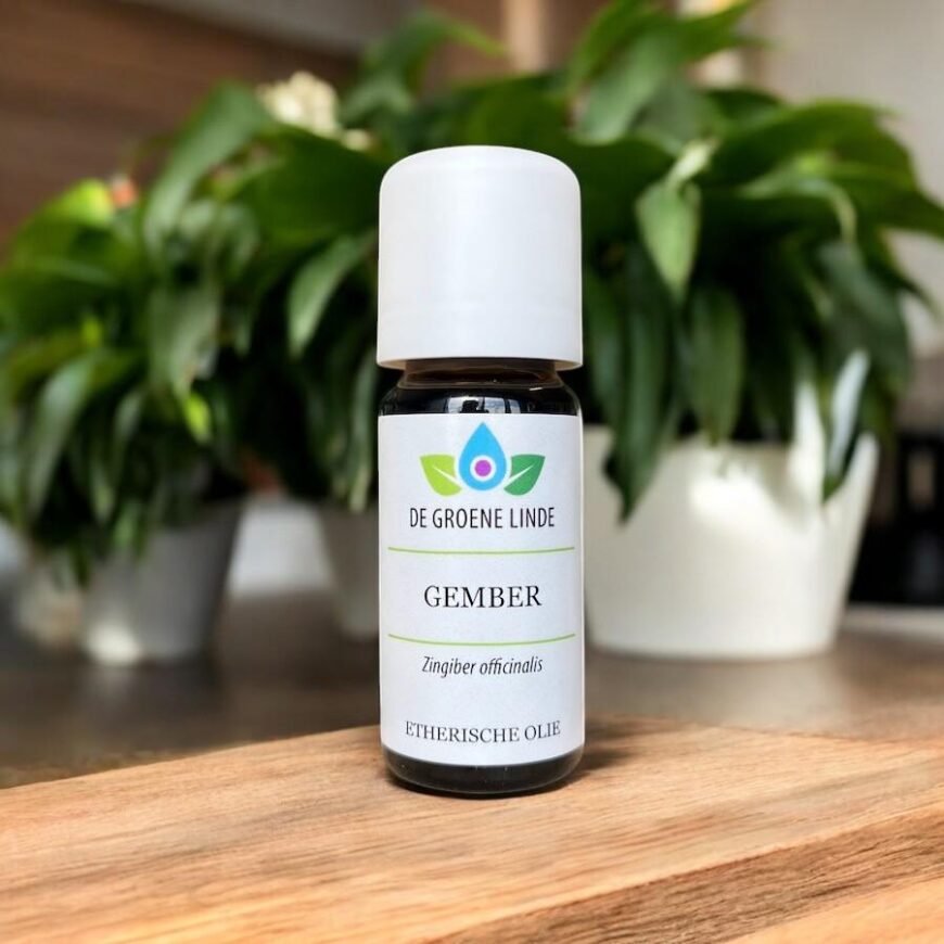 Gember | Olie Gember | Olie