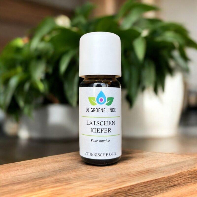 Latschenkiefer | Olie