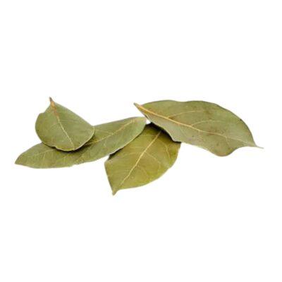 Laurier essentiele olie
