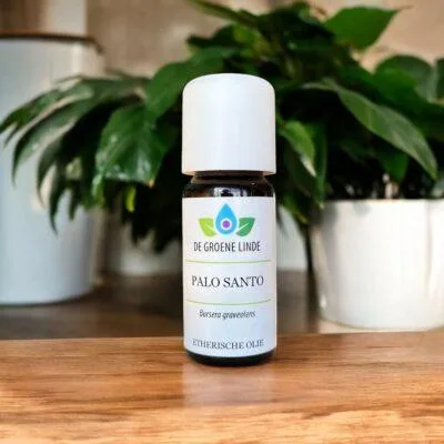 Palo Santo | Olie