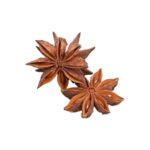 Burn Out | Good Night | Olie