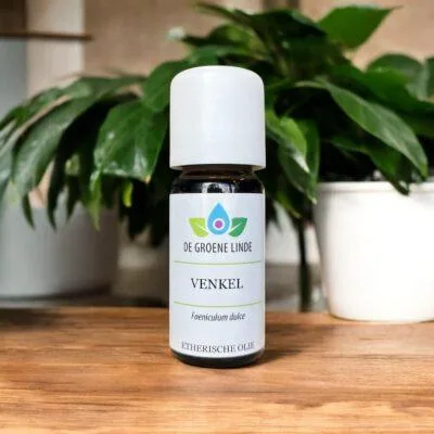Venkel | Olie