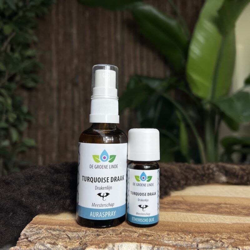 Turquoise Draak | Olie