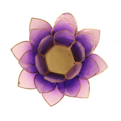 12004 sfeerlicht violet goudrand 1