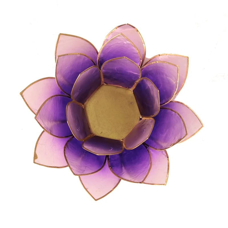 Lotus sfeerlicht | Violet Goudrand