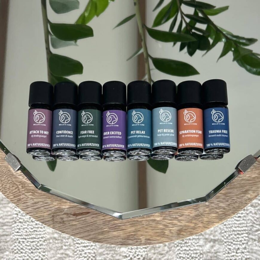 Huisdieren | Confidence | Olie Huisdieren | Confidence | Olie