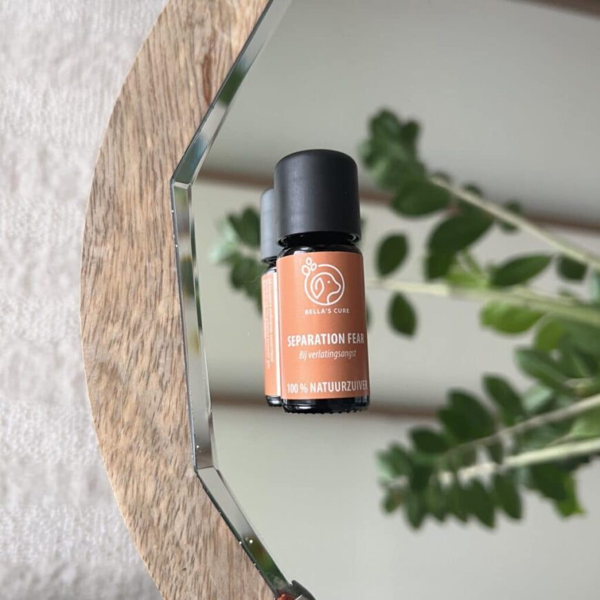 Huisdieren | Separation Fear | Olie