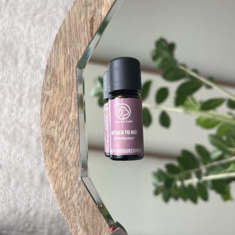 Huisdieren | Attach To Me | Olie