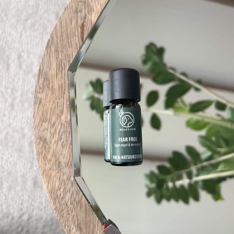 Huisdieren | Fear Free | Olie