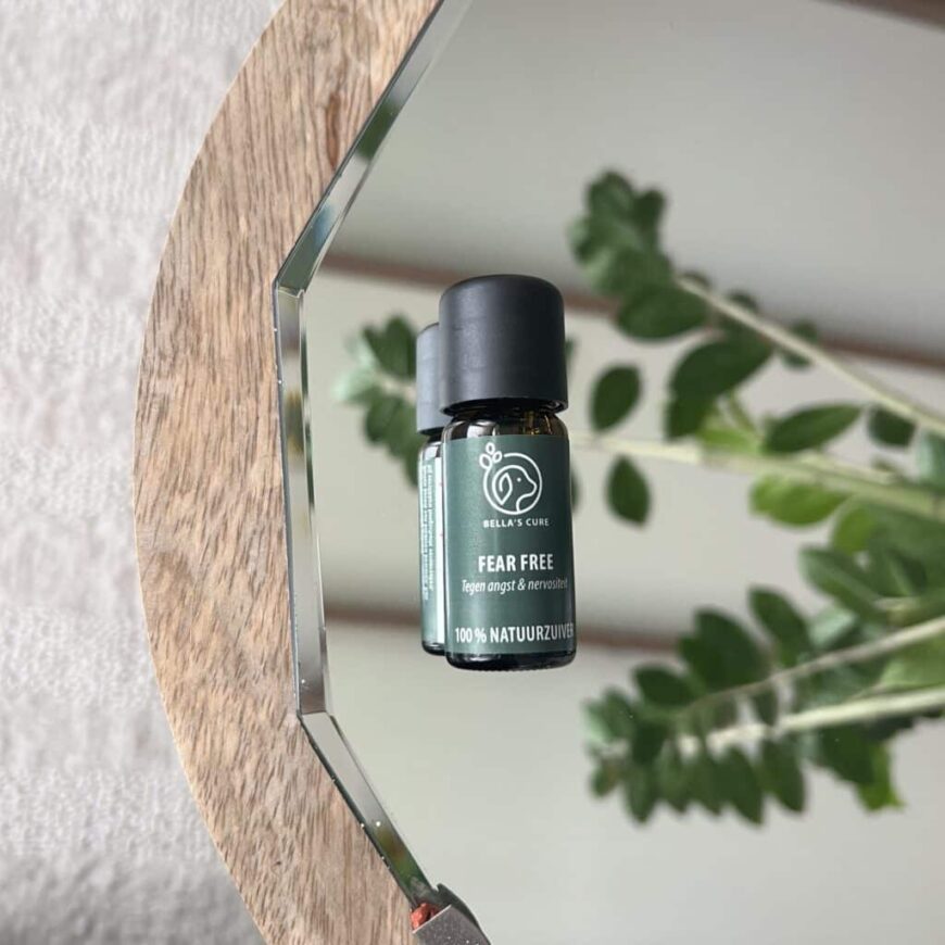 Huisdieren | Fear Free | Olie