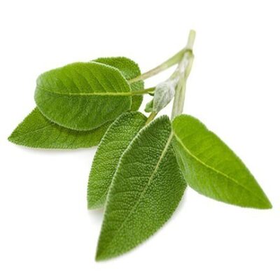 Salie | Zuiverende Spray