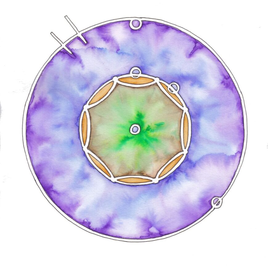 5. Focus remedie 5. Focus remedie
