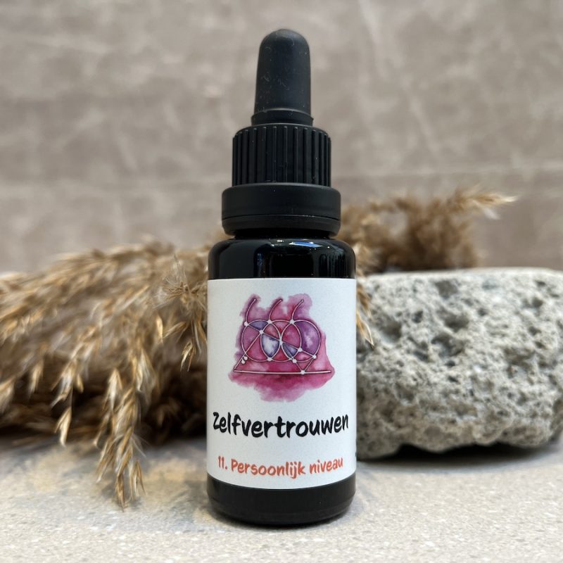 11. Zelfvertrouwen remedie
