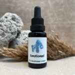 13. Emotioneel Remedie