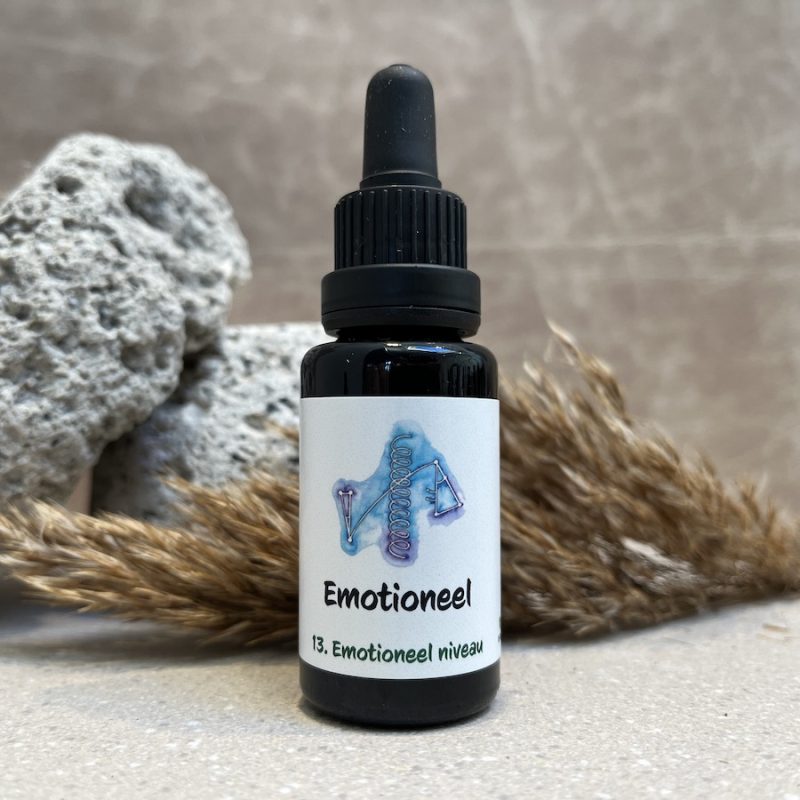 13. Emotioneel Remedie