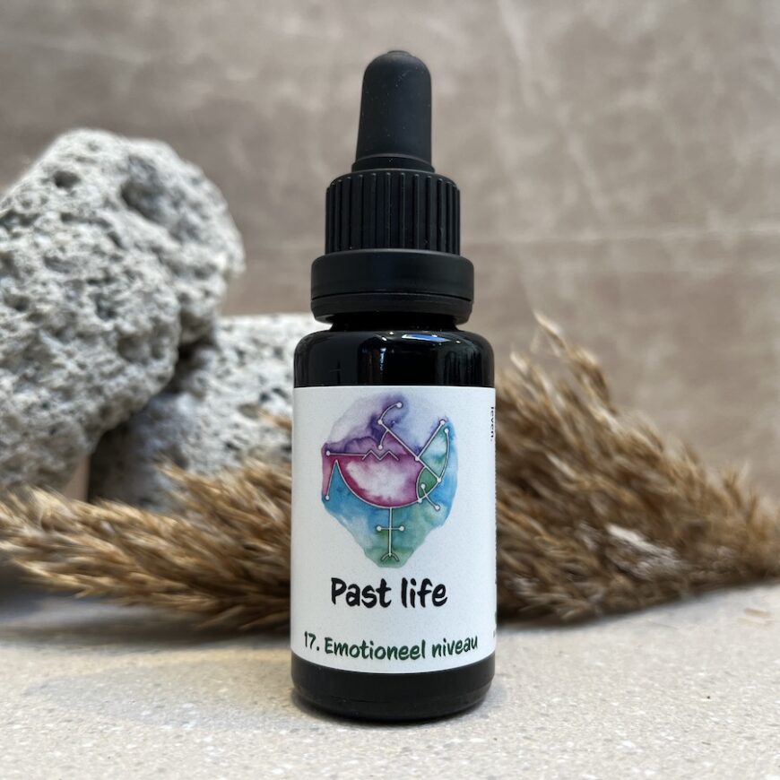 17. Past life remedie