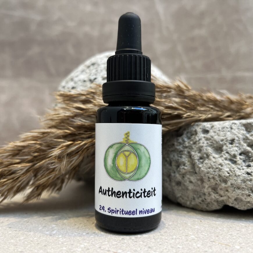 24. Authenticiteit remedie 24. Authenticiteit remedie