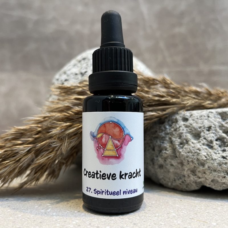 27. Creatieve kracht remedie