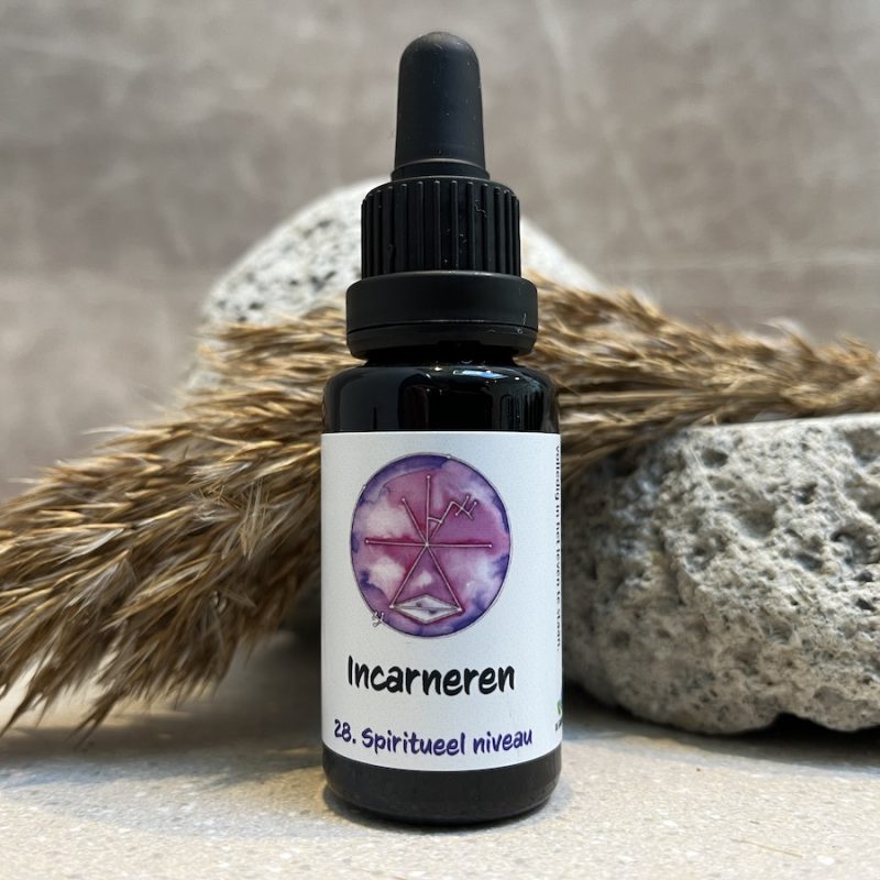 28. Incarneren remedie