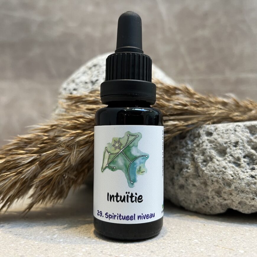 29. Intuïtie remedie 29. Intuïtie remedie