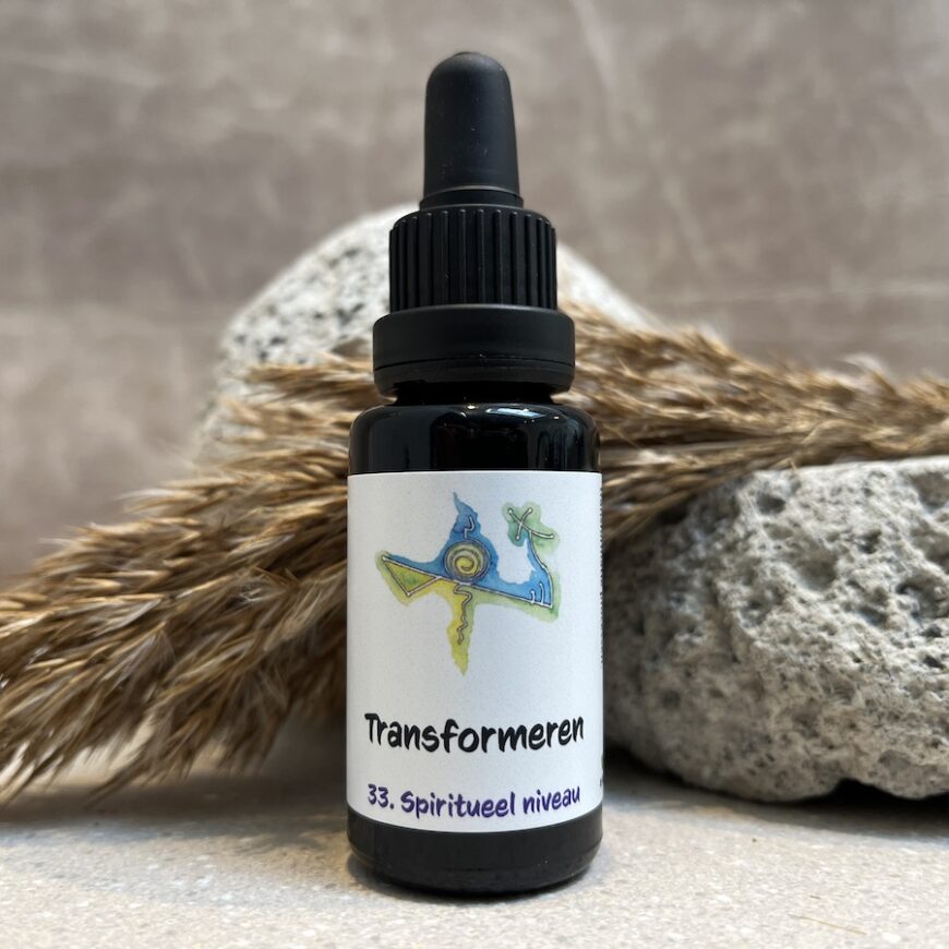 33. Transformeren remedie