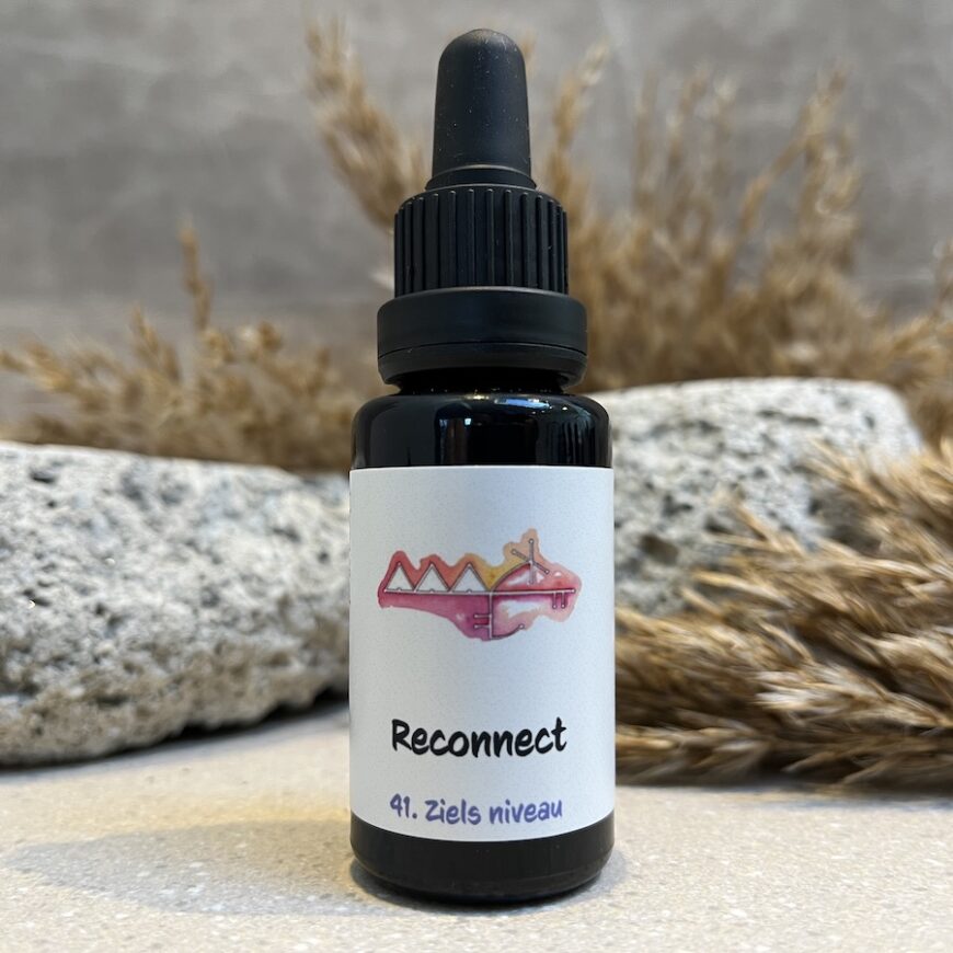 41. Reconnect remedie