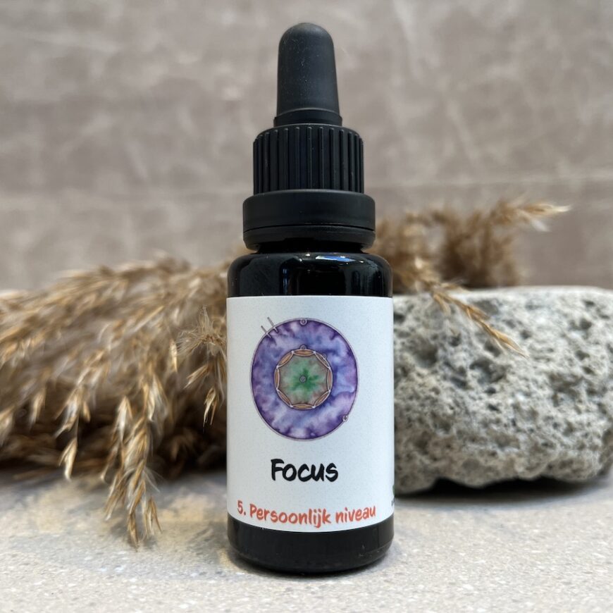 5. Focus remedie 5. Focus remedie