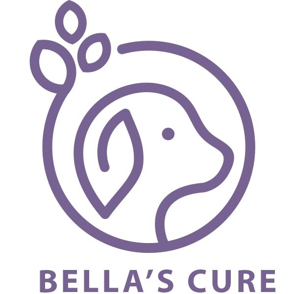 Huisdieren | Over Excited | Olie Huisdieren | Over Excited | Olie