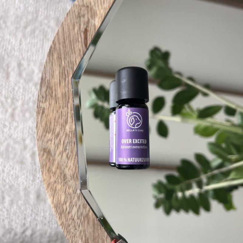 Huisdieren | Over Excited | Olie