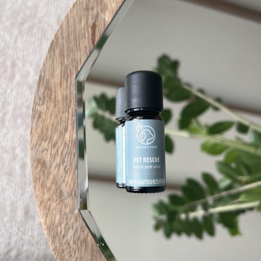 Huisdieren | Pet Rescue | Olie Huisdieren | Pet Rescue | Olie