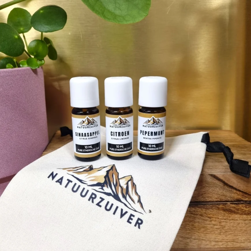 Basisset | Zonnige Ochtend