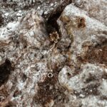 L'Heure Dorée | Amitié oorbel (one piece)