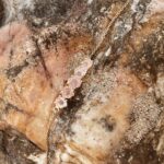 L'Heure Dorée | Cœur armband