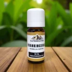 Frankincense | Olie (Boswellia Carterii)