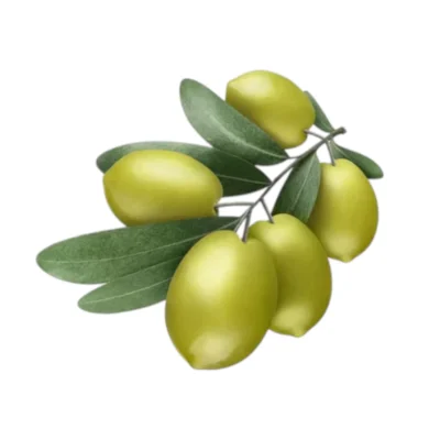 Natural Heroes Squalaan uit olijven plantaardig