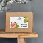 Christmas in a Box | Giftset