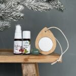 Christmas in a Box | Giftset