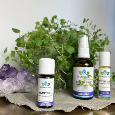 De Groene Linde Mystery Guest