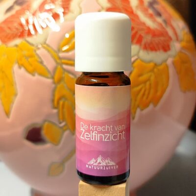 De Kracht van Zelfinzicht