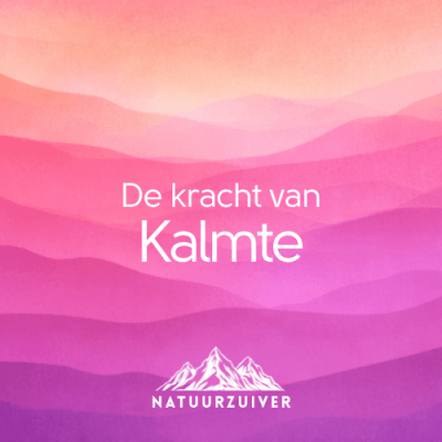 De Kracht van Kalmte